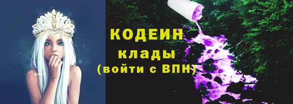 скорость Ладушкин